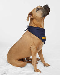 Doggie Bandana
