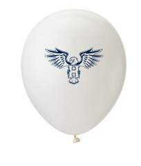 Assorted Party Balloons